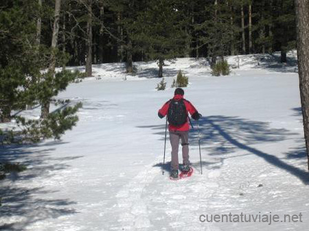 Con raquetas de nieve, por la Sierra de Gúdar.